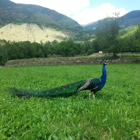 Serra Lladorre